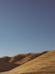 The Wife of My Heart