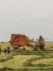 My Amazing Female Te