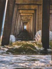 Two Treasures Arrive