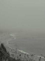 Become a big shot in