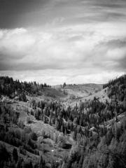 Reborn in the Apocal