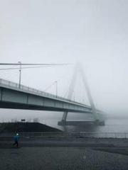 Lin Feng Lin Yun Yao