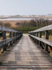 lt;The misfortune of