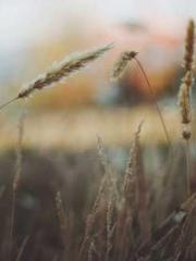 lt;lt;The Trash Husb