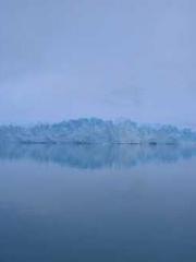 My seven stunning an