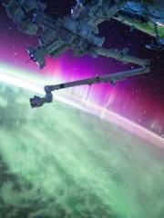 Saintly Gate Venerab