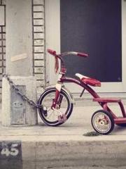 A Spicy Wife from th