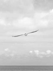 lt;Natural Disasters