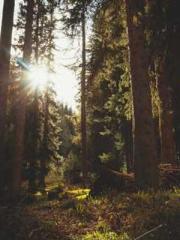 Cultivating My Empre