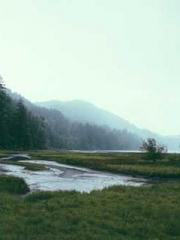 Jiang Mingzhu Zhou L