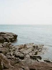 The Favorite Concubi