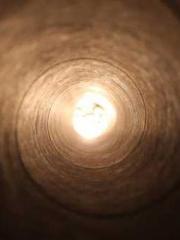 My whole family eave